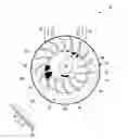 Fig. 01 - Liquid ring fluid flow machine