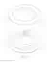 Fig. 02 - Pad structure of sucking disc