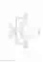 Fig. 04 - Pad structure of sucking disc