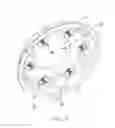 Fig. 05 - Light weight clutch assembly