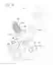 Fig. 11 - Light weight clutch assembly