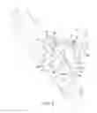 Fig. 03 - Hydraulic hose fitting and hydraulic device