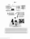 Fig. 04 - Mechanoluminescent display device