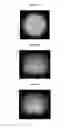 Fig. 14 - Lighting device