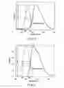 Fig. 03 - Light source device and endoscope apparatus comprising the same