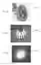 Fig. 07 - Apportioning optical projection paths in an LED lamp
