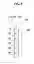 Fig. 05 - HIGH POWER LED LIGHTING DEVICE
