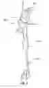 Fig. 03 - Tree topper with trunk attachable deformable conduit