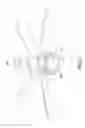 Fig. 06 - LED LAMP FOR CEILING FAN AND CEILING FAN HAVING THE SAME