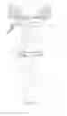 Fig. 04 - Pulverized fuel-oxygen burner