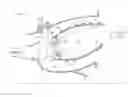 Fig. 01 - Fuel injector guide(s) for a turbine engine combustor
