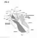 Fig. 08 - Ejector