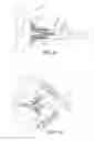 Fig. 09 - Projectile