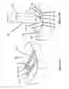 Fig. 11 - Mold and molding apparatus for embedding biological specimen in a block and related methods