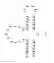 Fig. 09 - SELECTIVE CAPTURE AND RELEASE OF ANALYTES
