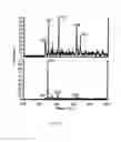 Fig. 20 - SELECTIVE CAPTURE AND RELEASE OF ANALYTES