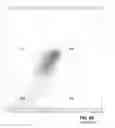 Fig. 25 - AUTOMATED FLOW CYTOMETRY ANALYSIS METHOD AND SYSTEM