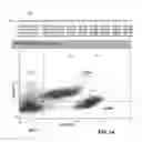 Fig. 32 - AUTOMATED FLOW CYTOMETRY ANALYSIS METHOD AND SYSTEM