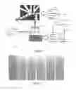 Fig. 08 - Emulsion