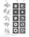 Fig. 14 - System and method for making concentration measurements within a sample material using orbital angular momentum