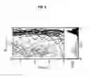Fig. 15 - Target Characterization Based on Persistent Collocation of Multiple Specks of Light in Time Series Imagery