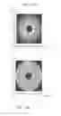 Fig. 13 - Plasma light source and inspection apparatus including the same