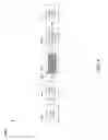 Fig. 12 - Passivation of nonlinear optical crystals
