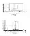 Fig. 03 - Method for manufacturing a gas phase chromatography column and column obtained using such a method