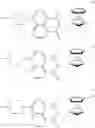 Fig. 33 - SENSOR MOLECULE