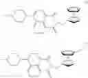 Fig. 34 - SENSOR MOLECULE