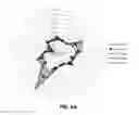 Fig. 11 - APPARATUS AND METHOD FOR JUDGING SENSIBILITY OF SMELL
