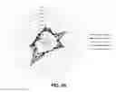 Fig. 12 - APPARATUS AND METHOD FOR JUDGING SENSIBILITY OF SMELL