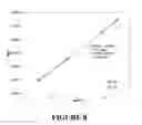 Fig. 10 - Low volume in-line filtration method for evaluation of asphaltenes for hydrocarbon-containing feedstock