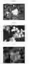 Fig. 07 - Method for diagnosis of diseases using morphological characteristics of luterial