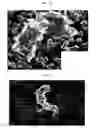 Fig. 25 - Method for diagnosis of diseases using morphological characteristics of luterial