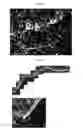 Fig. 26 - Method for diagnosis of diseases using morphological characteristics of luterial