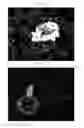 Fig. 28 - Method for diagnosis of diseases using morphological characteristics of luterial