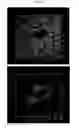 Fig. 30 - Method for diagnosis of diseases using morphological characteristics of luterial