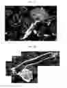 Fig. 37 - Method for diagnosis of diseases using morphological characteristics of luterial