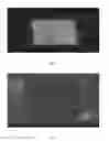 Fig. 02 - Chemical sensitivity screening test