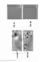 Fig. 12 - Label-free detection of small and large molecule interactions, and activities in biological systems