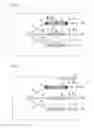 Fig. 04 - EXOSOME ANALYSIS METHOD, EXOSOME ANALYSIS CHIP, AND EXOSOME ANALYSIS DEVICE