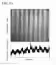 Fig. 07 - EXOSOME ANALYSIS METHOD, EXOSOME ANALYSIS CHIP, AND EXOSOME ANALYSIS DEVICE