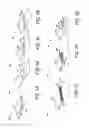 Fig. 06 - Systems, devices and methods for a hydroscopic based lateral flow assay