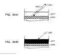 Fig. 31 - Sensor chip, detection system, and method of detecting target substance in analyte