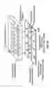 Fig. 16 - Detection of degradative enzymes and biomolecules in bodily fluids