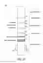 Fig. 03 - SYSTEMS, DEVICES AND METHODS FOR A LATERAL FLOW ASSAY WITH SOLUTION ENHANCEMENT