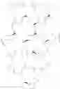 Fig. 15 - Assays for BTK inhibitors