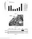 Fig. 02 - Methods for Predicting and Treating Bone Metastases in Prostate Cancer Patients