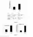 Fig. 04 - Methods for Predicting and Treating Bone Metastases in Prostate Cancer Patients